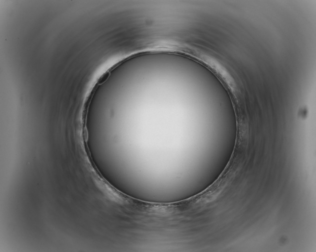 X0000099421480200805301357