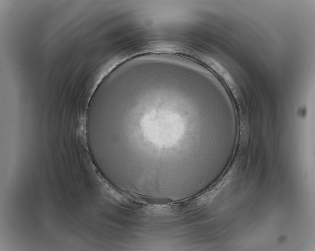 X0000099421481200805301356