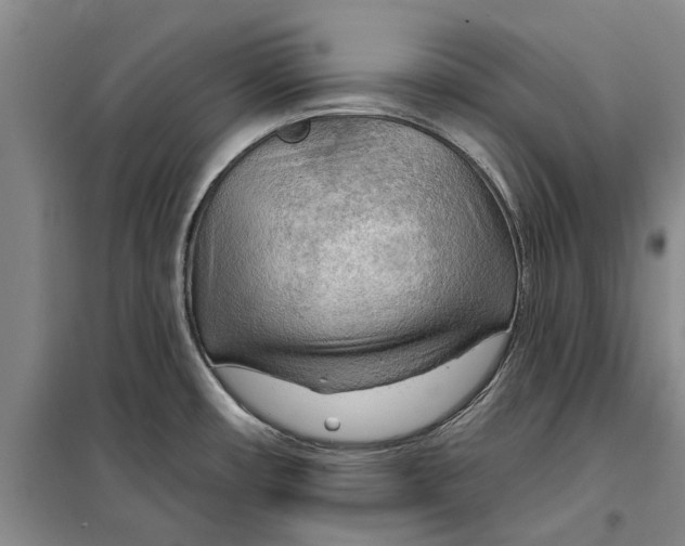 X0000099421482200805301356