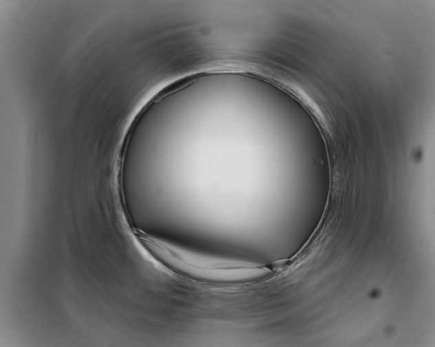 X0000099421484200805301356