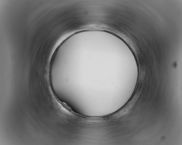 X0000099421486200805301356