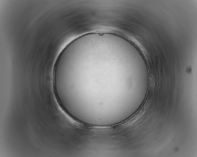 X0000099421487200805301356