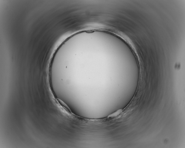 X0000099421488200805301356