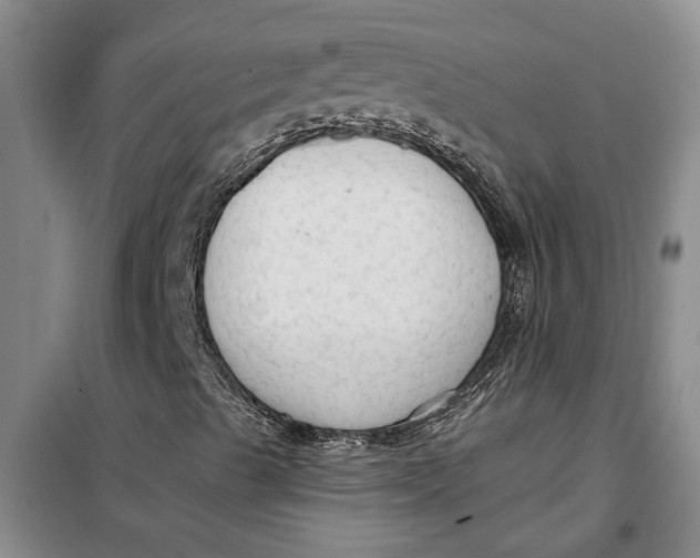 X0000099421489200805301356