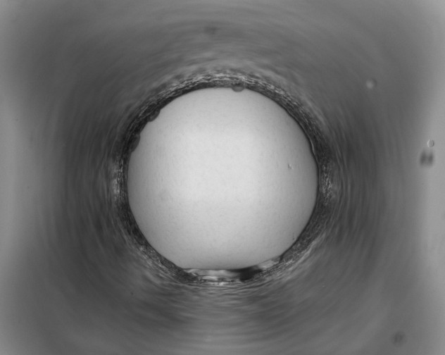 X0000099421490200805301356