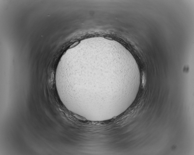 X0000099421492200805301356