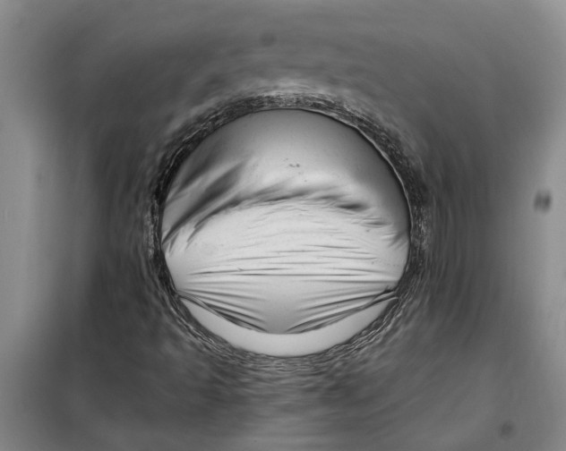 X0000099421493200805301356