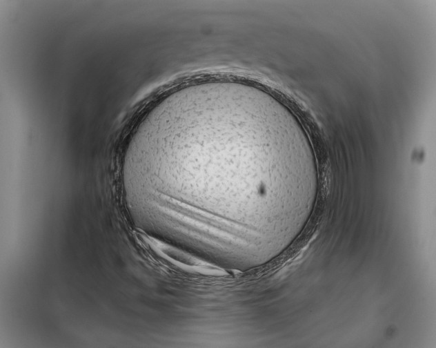 X0000099421494200805301356
