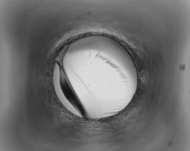 X0000099421495200805301356