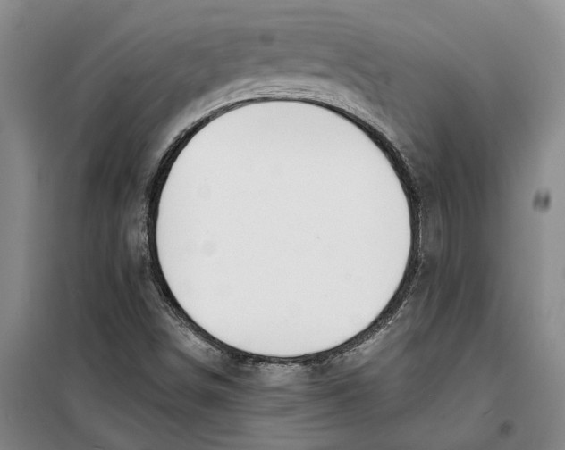 X0000099421498200805301356
