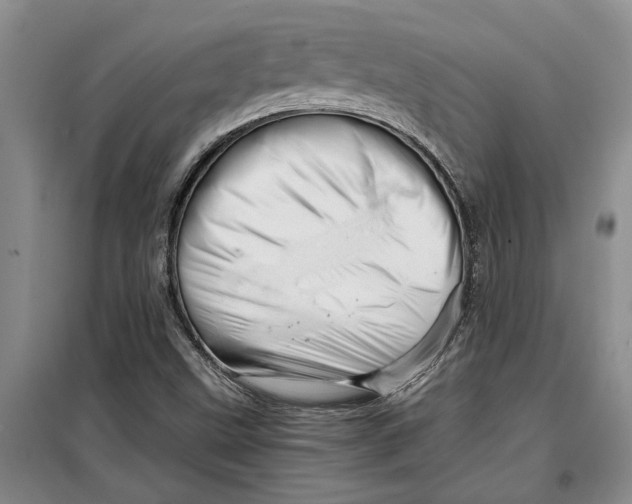 X0000099421499200805301356