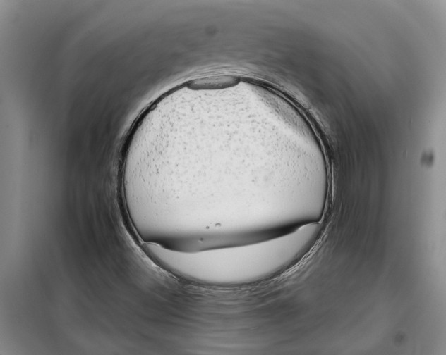 X0000099421500200805301356