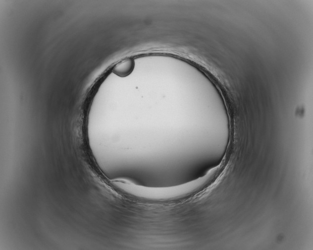 X0000099421502200805301356