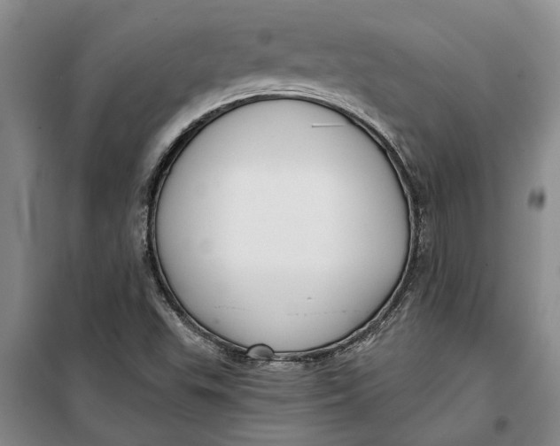 X0000099421503200805301356
