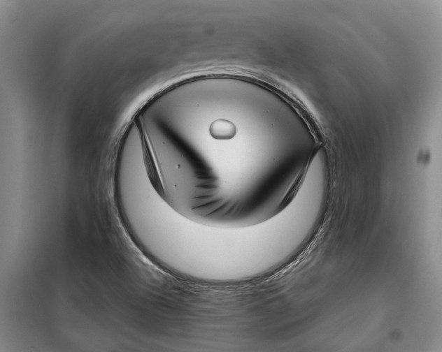 X0000099421504200805301356