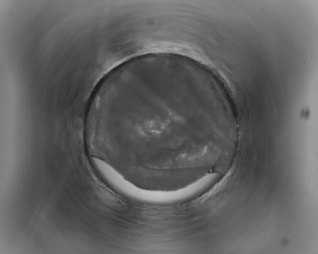 X0000099421505200805301356