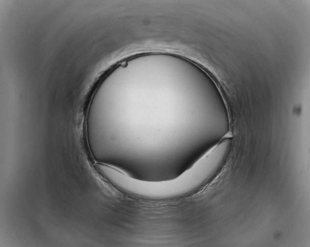 X0000099421507200805301356