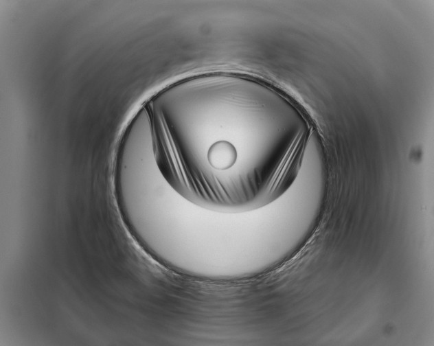 X0000099421508200805301356