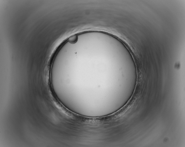 X0000099421511200805301356