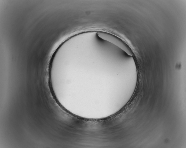 X0000099421512200805301356