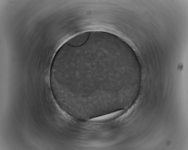 X0000099421513200805301356