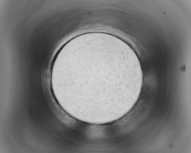 X0000099421514200805301356