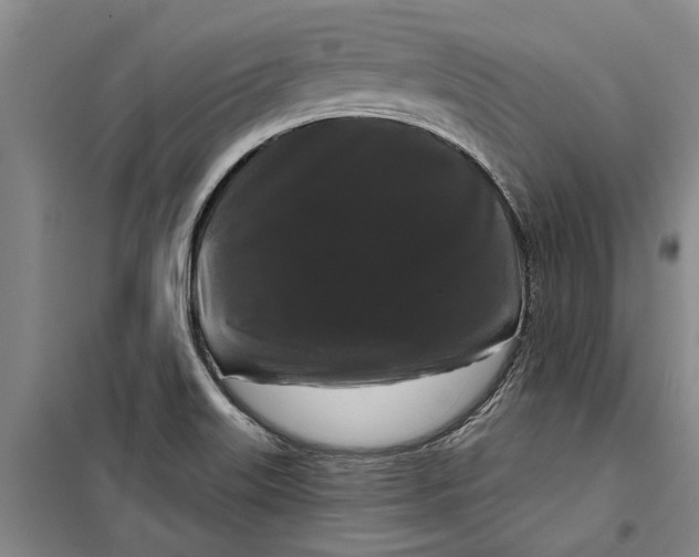 X0000099421515200805301356