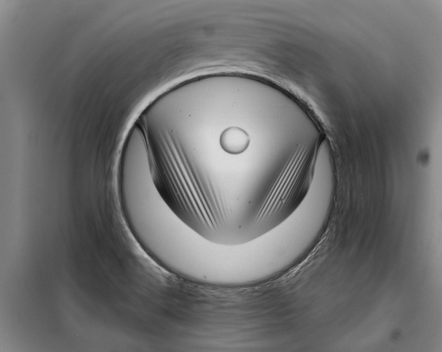 X0000099421516200805301356