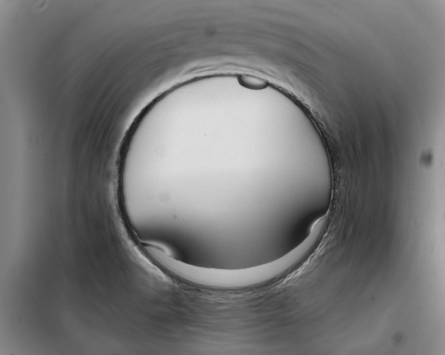 X0000099421518200805301356