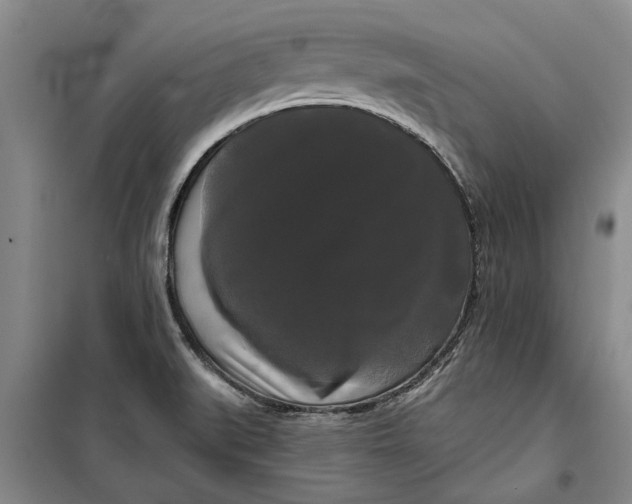 X0000099421519200805301356