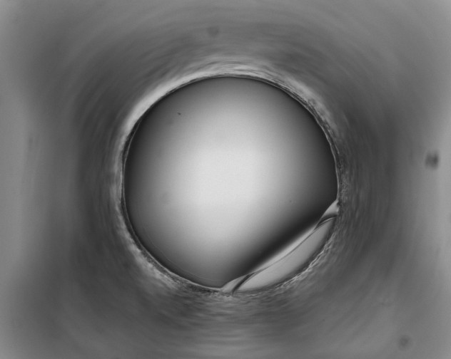X0000099421520200805301356