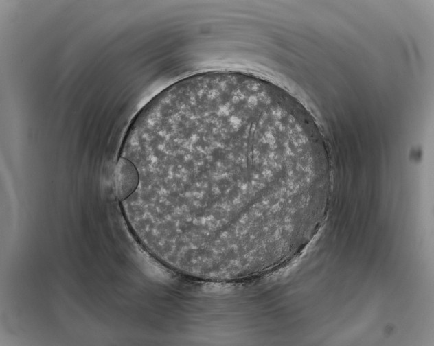 X0000099421521200805301356