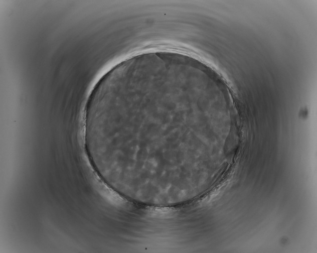 X0000099421522200805301356