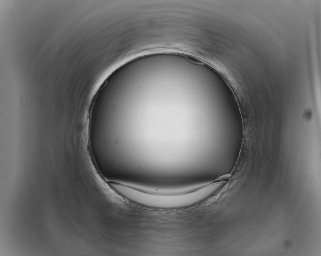 X0000099421524200805301356