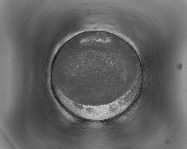 X0000099421525200805301356
