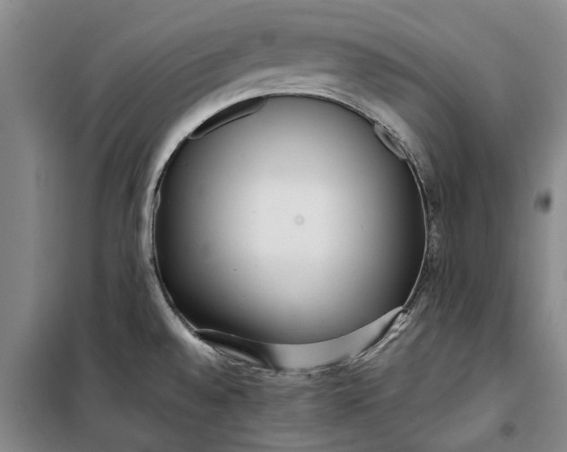 X0000099421528200805301356