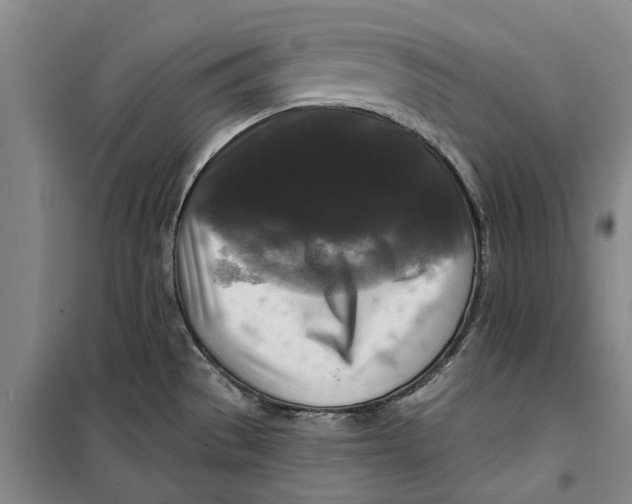 X0000099421529200805301356