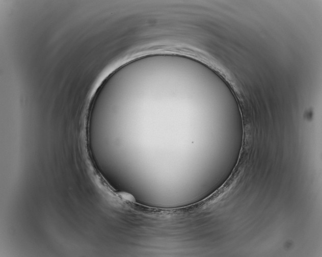 X0000099421530200805301356