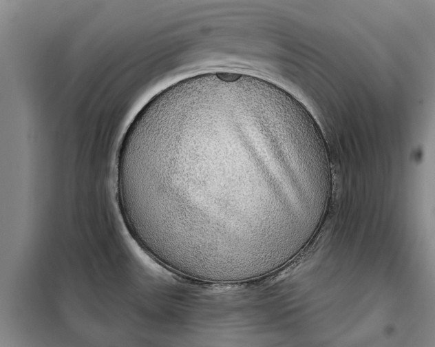 X0000099421531200805301356