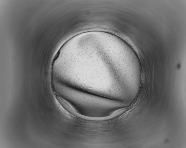 X0000099421532200805301356
