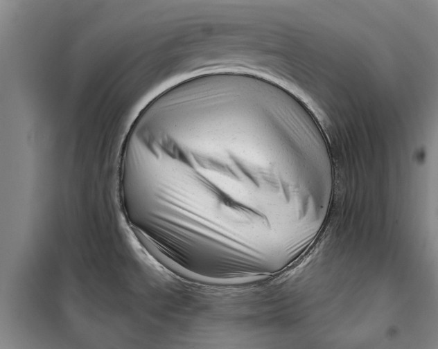 X0000099421534200805301356