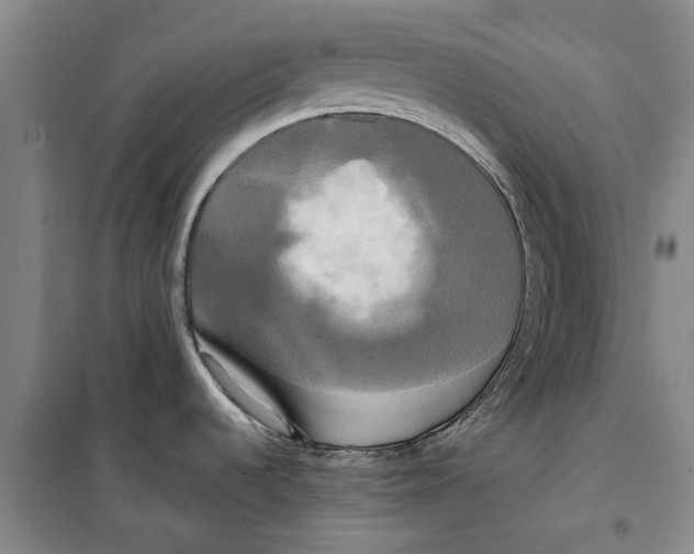 X0000099421536200805301356