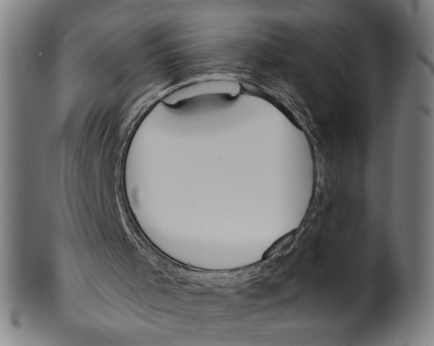 X0000099420001200806061006