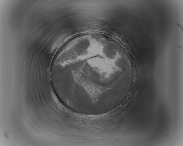 X0000099420002200806061006