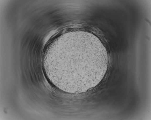 X0000099420003200806061006