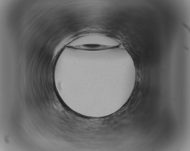X0000099420004200806061006