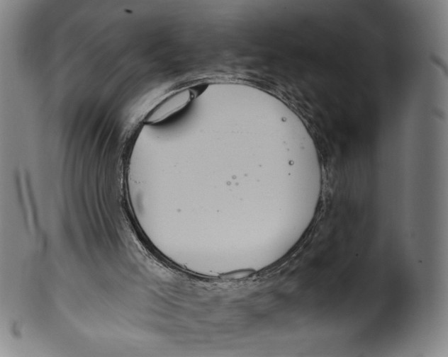 X0000099420005200806061006