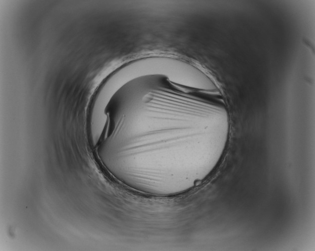 X0000099420008200806061006
