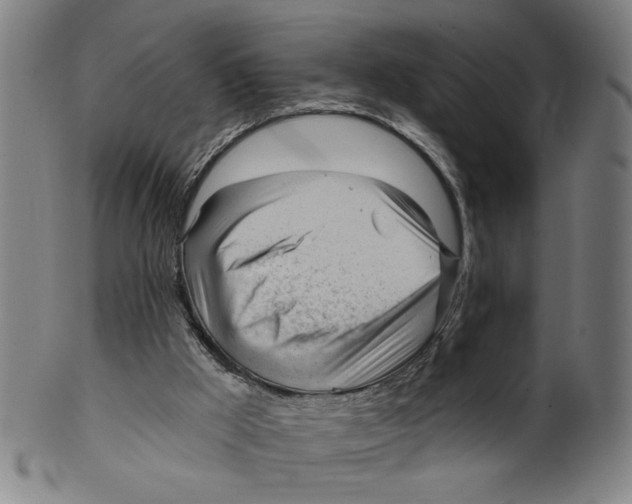 X0000099420009200806061006