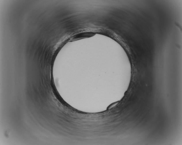 X0000099420011200806061006